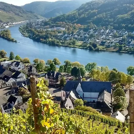 With Mosel View