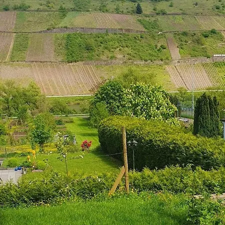 With Mosel View Apartamento *